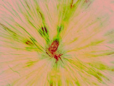  Zümrüt kravat boyası arka planı. Die Spiral Boya Tasarımı. Renkli Kravat Boyası Arkaplanı. El yapımı mavi desen. Kravat boyası arka planını yıka. Yazdırma Ölme Rengi.