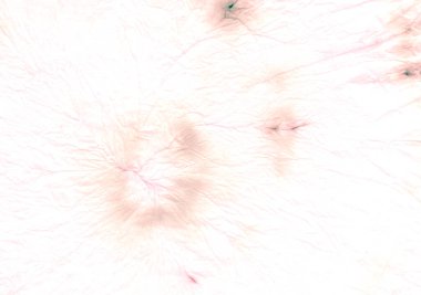 Sarı kravat boyası. Boho yazıcısını çember yapın. Barış kravat boyası dokusu. Renkli 1960 boyası. Psikedelik Turuncu Tekstil Arkaplanı. Yuvarlak, 70 'lerin dokusu. Ikat Turuncusu.