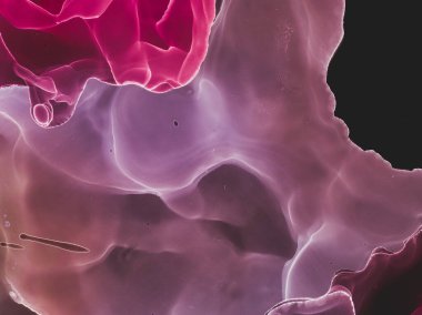 Soyut Mürekkep Sanatı. Alkolik Duvar 'ın etkisi. Çadır bezini karıştır. Violet Modern Soyut Mürekkep Sanatı. Smoke Ocean Splatter Illustration. Tuvali yıka. Yağ Mor Soyut Mürekkep Sanatı. Makro Pembe