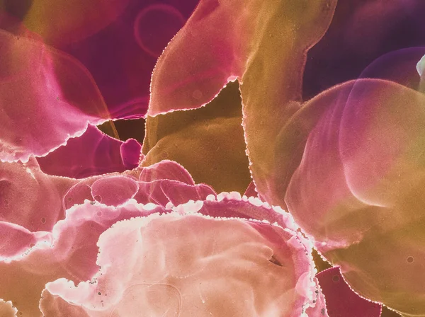 Soyut Mürekkep Sanatı. Dijital Alkolik Tasarım. İpek Fırça dokusu. Siyah Alkol Soyut Mürekkep Sanatı. Çerçeve Grafik Moda Arkaplanı. Pastel desenli. İpek Mor Soyut Mürekkep Sanatı. Pembeyi Boya