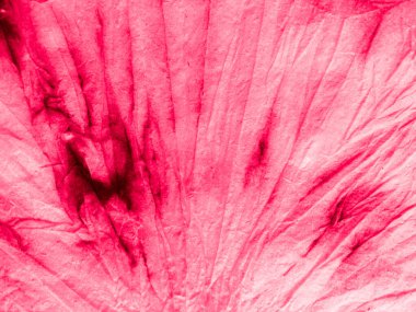 Geleneksel kravat boyası deseni. Tiedye Circle Kapanış Sembolü. Fuxia Boyalı Arkaplan Geleneksel Kravat Örnekleri. Rustik Hippi Soyut Gömleği. Endonezya Giysileri Yuvarlak Giyim.