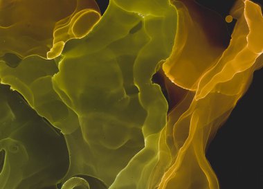 Alkol Mürekkebi Sanatı. El Kadim Duvarı. Yağlı Fırça Sanatı. Altın Parıltılı Alkol Mürekkebi Sanatı. Soluk Lüks Sıçrama Arkaplanı. Grunge Deseni. Okyanus Zeytinli Alkol Mürekkep Sanatı. 