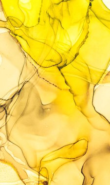Alkol Mürekkebi Sanatı. Sıvı Grunge Yazdır. Mix Airy Deseni. Altın Mermer Alkol Mürekkep Sanatı. İnce Grafik Moda Duvar Kağıdı. Alkolik tuvaller. Okyanus Altın Alkol Mürekkebi Sanatı. 