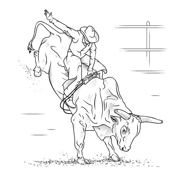 Bull Riding on a white background