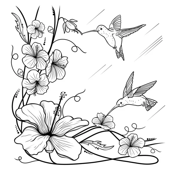 Colibris et fleurs — Image vectorielle