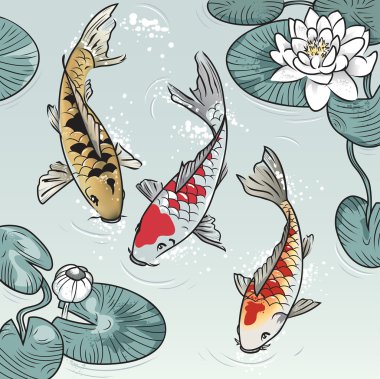 Koi-balık su-lilys arasında