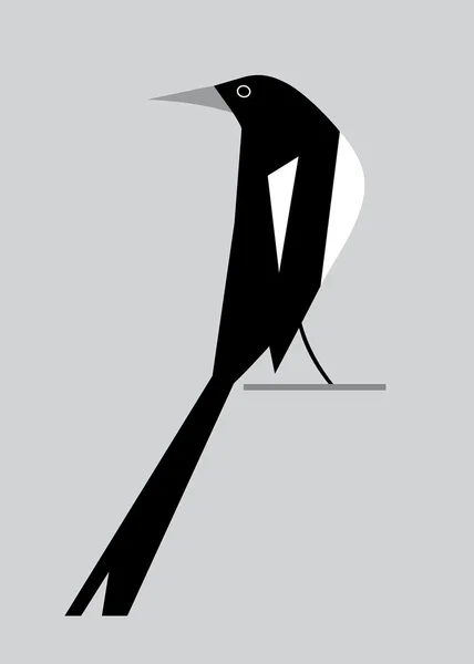 Immagine minimalista di magpie2 — Vettoriale Stock