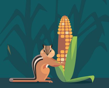 Chipmunk (ground-squirrel) eats corn on the field. He fills the cheek pouches with grain so that they become round. Stylized image. clipart