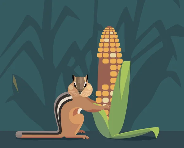 Streifenhörnchen Ziesel Frisst Mais Auf Dem Feld Füllt Die Wangenbeutel Vektorgrafiken