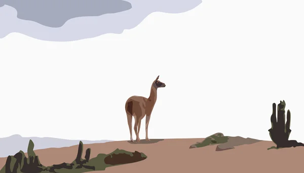 Guanaco chameau — Image vectorielle