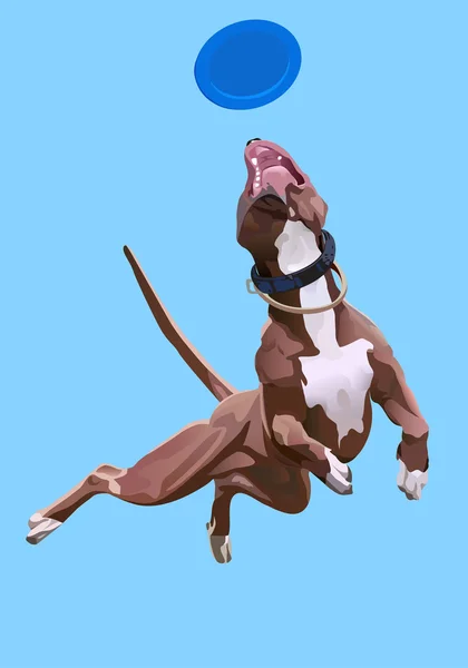 Dog-frisbee — Stock Vector