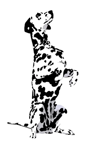 Dalmatien — Image vectorielle