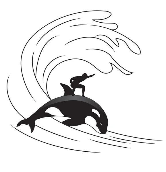 Surf — Vector de stock