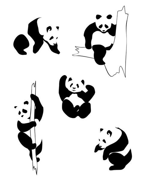 Farklı pozisyonlarda pandalar — Stok Vektör
