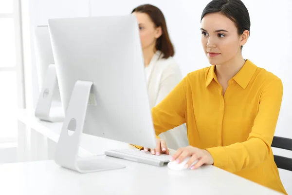 Business woman and colleague working with computer while sitting at the desk in office. Headshot of Lawyer or accountant. Teamwork or meeting concept — Stock Photo, Image