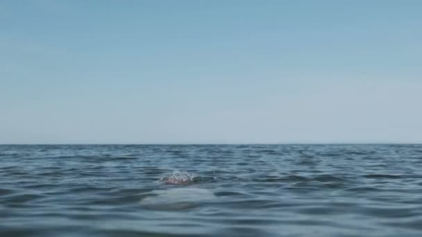 Hand Raised Above the Sea. Seeking rescue. Businessman Drowning. Slow Motion. — Stock Footage Hand Raised Sea Seeking Rescue Businessman Drowning Slow Motion Royalty Free Stock Footage
