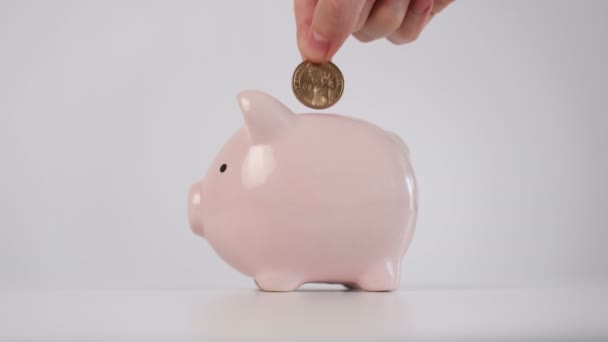 Poniendo Monedas Alcancía Piggy Creciendo Cuando Monedas Poner Dentro — Vídeo de stock