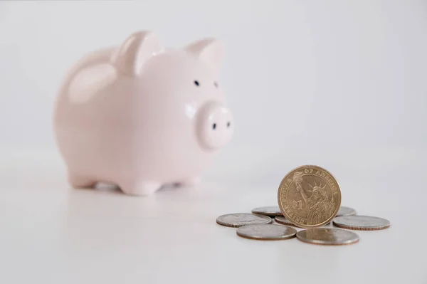 Arka planda Domuz Kumbaralı Dolar Paraları Seçici Odaklanma