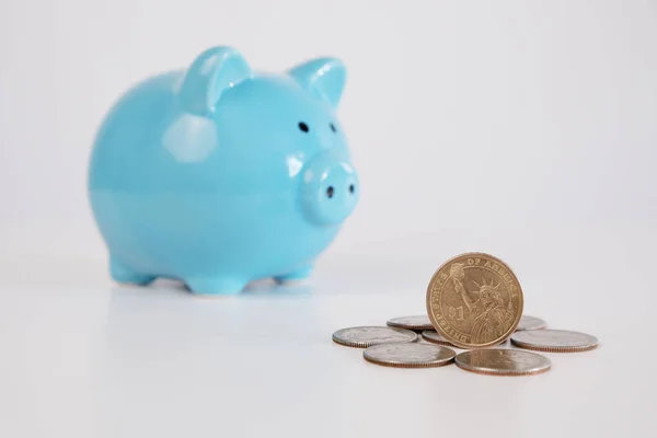 Arkaplanda Mavi Domuz Kumbaralı Dolar Paraları Seçici Odaklanma