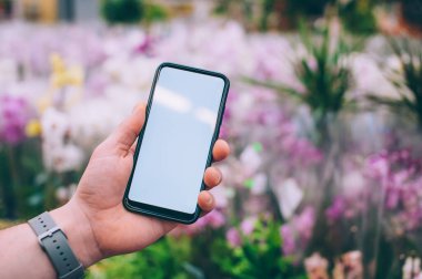 Model teknolojisi. Adam arka plandaki çiçeklerin üzerinde akıllı bir telefon tutuyor.