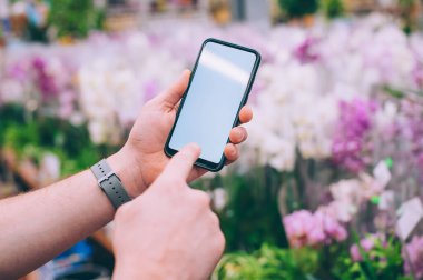 Model teknolojisi. Adam arka plandaki çiçeklerin üzerinde akıllı bir telefon tutuyor.