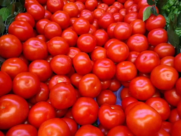 New harvest bright red tomatoes at the supermarket, food economy and vegetable prices in the market, staple food tomatoes