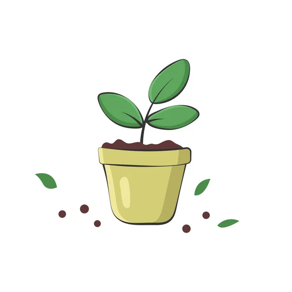 Plante Pot Isolée Sur Fond Blanc Illustration Vectorielle — Image vectorielle