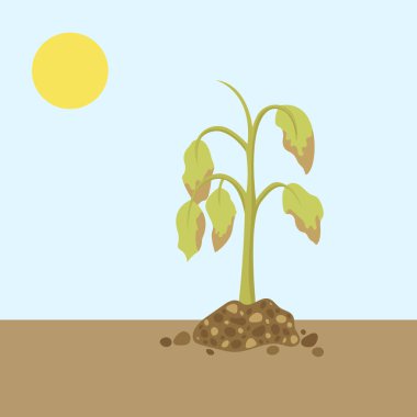 Kuruyan bitki. Kuru bitki. Vektör illüstrasyonu