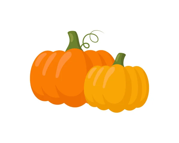 Pumpkin Isolated White Background Vector Illustration — Stock Vector