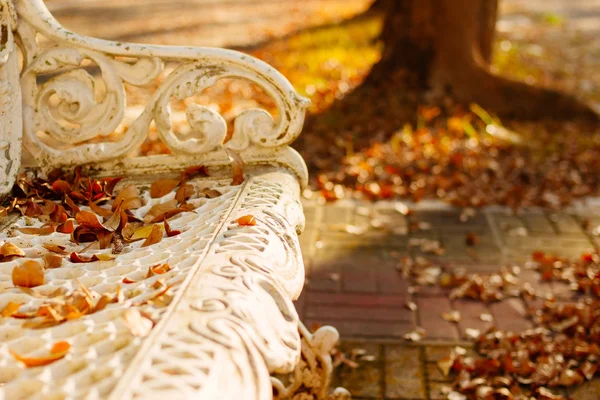 Outono folhas parque banco — Fotografia de Stock