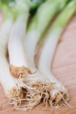 ahşap zemin üzerine yeşil soğan