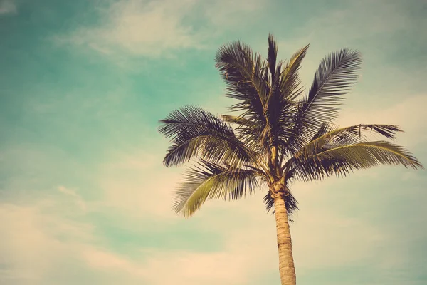 Coconut palm tree against blue sky vintage retro — Stock Photo, Image