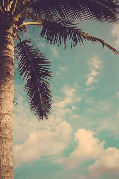नीले आकाश के खिलाफ नारियल खजूर का पेड़ विंटेज रेट्रो — स्टॉक फ़ोटो, इमेज