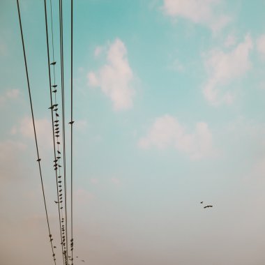 güç hattı kablosu mavi gökyüzü bulutlar adam ile karşı kuşlarda