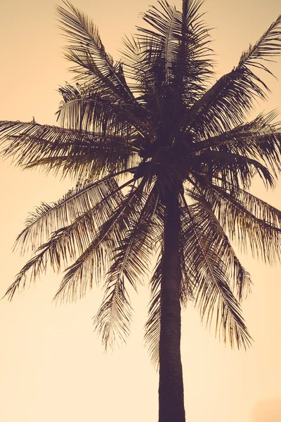 Coconut palm tree silhouette sunset vintage retro — Stock Photo, Image