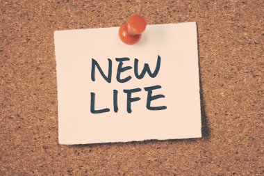 yeni hayat Not ilan panosuna iğnelenmiş