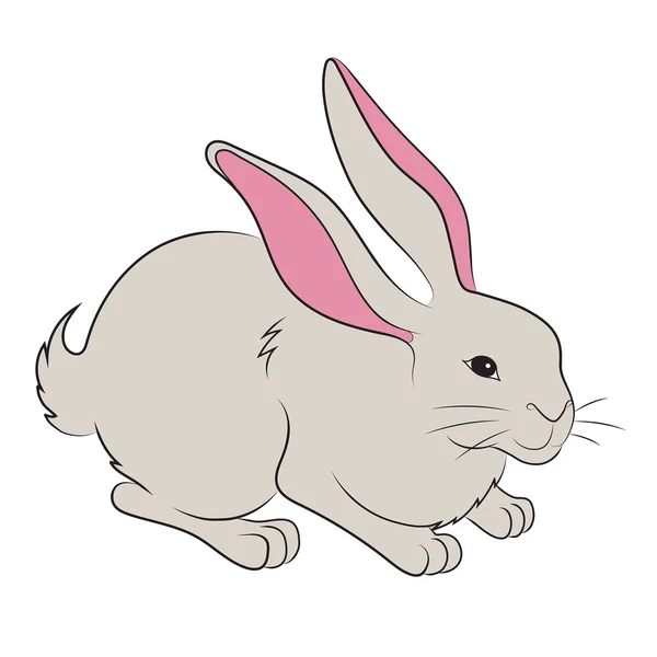 Векторная иллюстрация пасхального кролика — стоковый вектор
