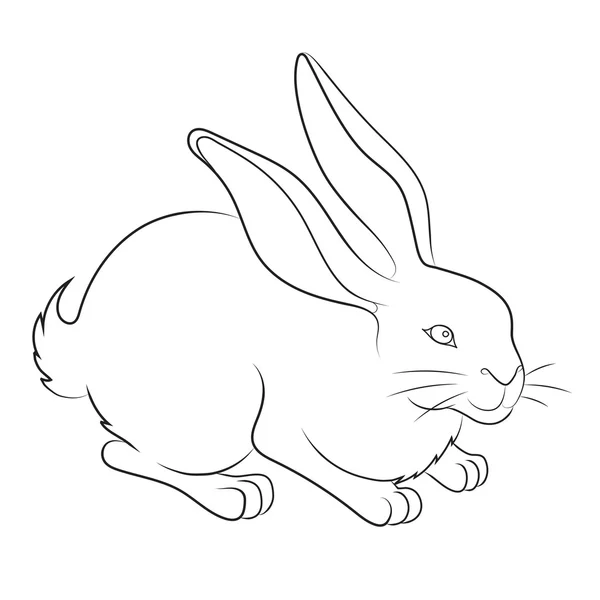 Ilustração de um coelho de Páscoa —  Vetores de Stock
