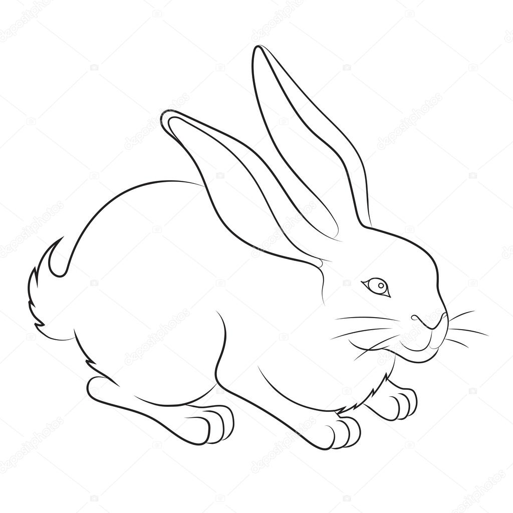 Image dun lapin de paques — 1