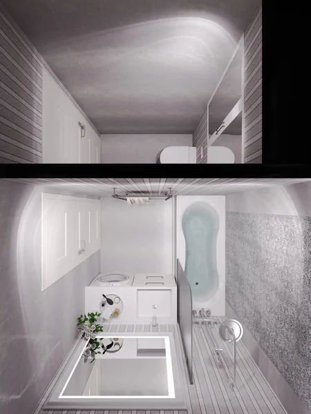 Απόδοσης 3D, ένα μπάνιο σε ένα σύγχρονο κλασικό στιλ. — Φωτογραφία Αρχείου