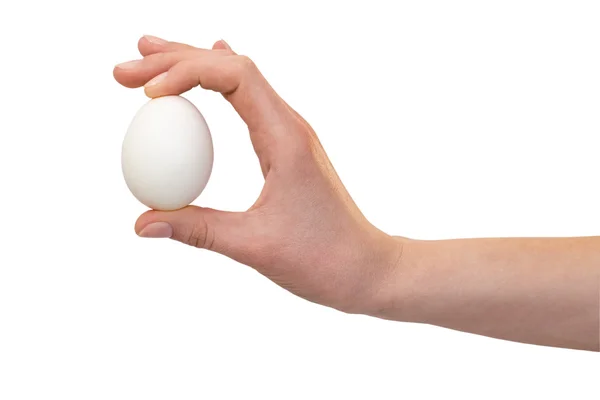 Hand med hönsägg — Stockfoto