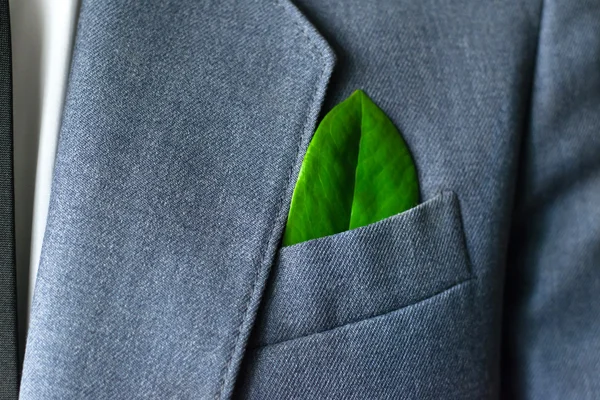 Biznesmen zdjęcie w garniturze z liścia w kieszeni — Stockfoto