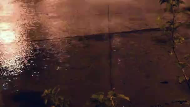 Splashes de la fântână în parcul central seara — Videoclip de stoc