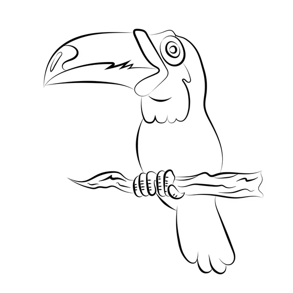 Illstration ptáka Toucan sedící na větvi — Stockový vektor