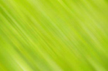 bulanık renk arka plan