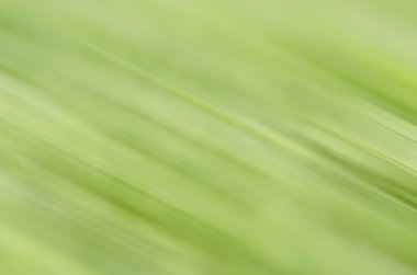 bulanık renk arka plan