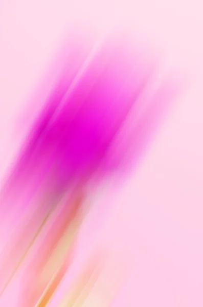 Abstract flower blurred background — Stock Photo, Image