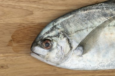 mutfak kurulu baş taze balık