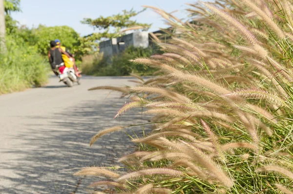 Campo de hierba junto a raod con moto —  Fotos de Stock