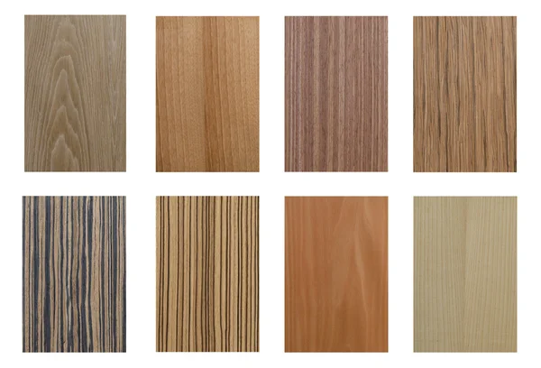 Set of wood texture on white background — Stock Photo, Image